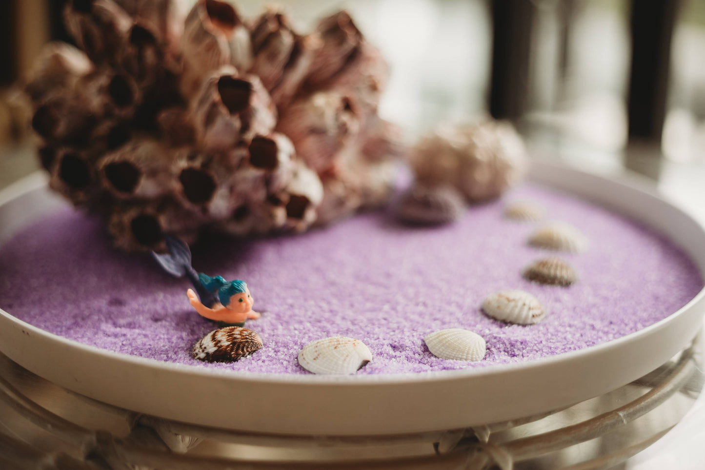 The Saltwater Collective - Sensory Salt - Urchin