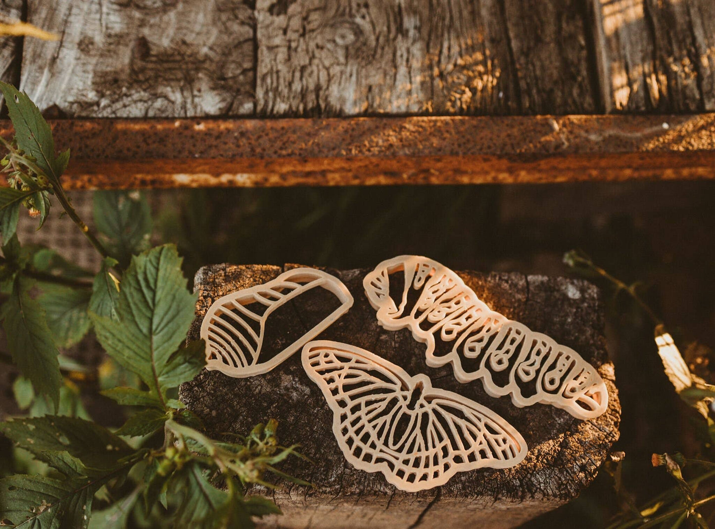Kinfolk Pantry Eco Cutters - Butterfly Life Cycle Cutter Set