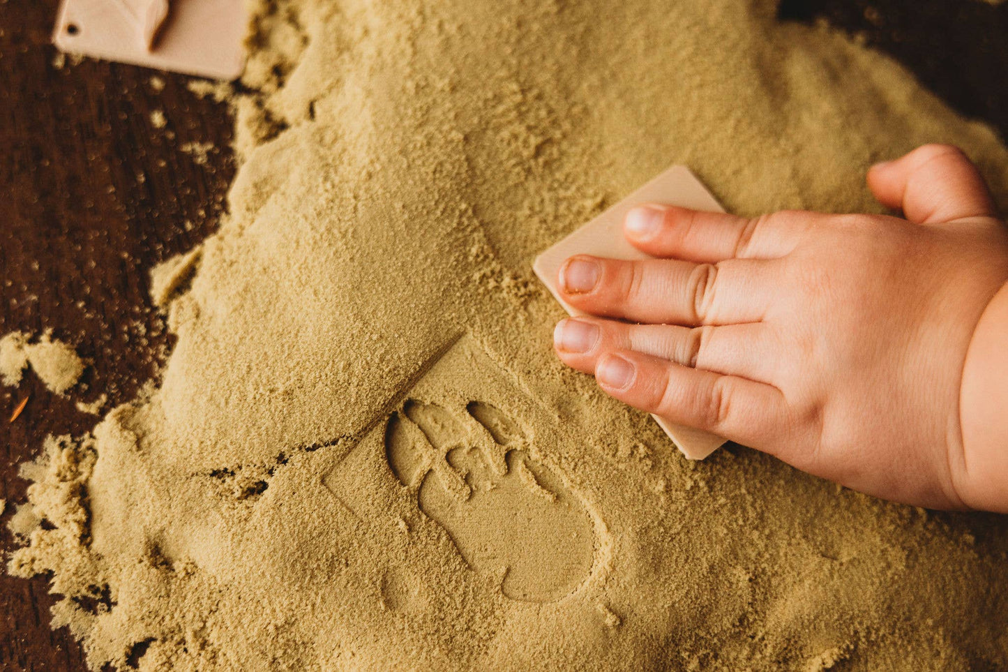 Kinfolk Pantry Eco Stamp - Dinosaur Foot Print Stamp Set