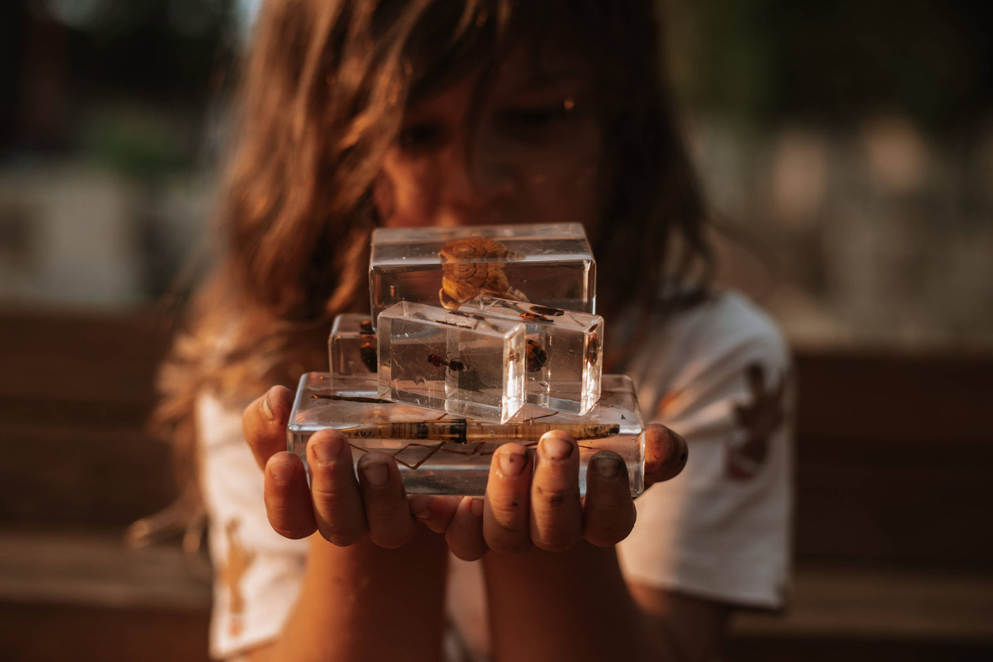 Our Earth Life - Garden Bugs Specimen Set