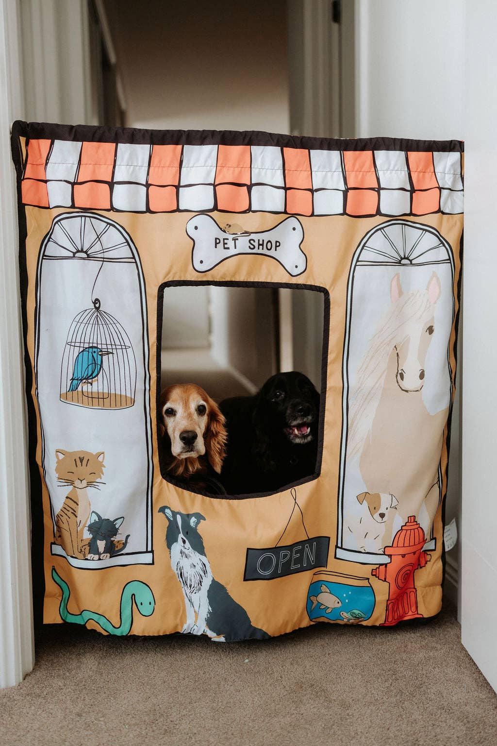 The Cozy Cube - Pet Shop/ Vet Play Panel