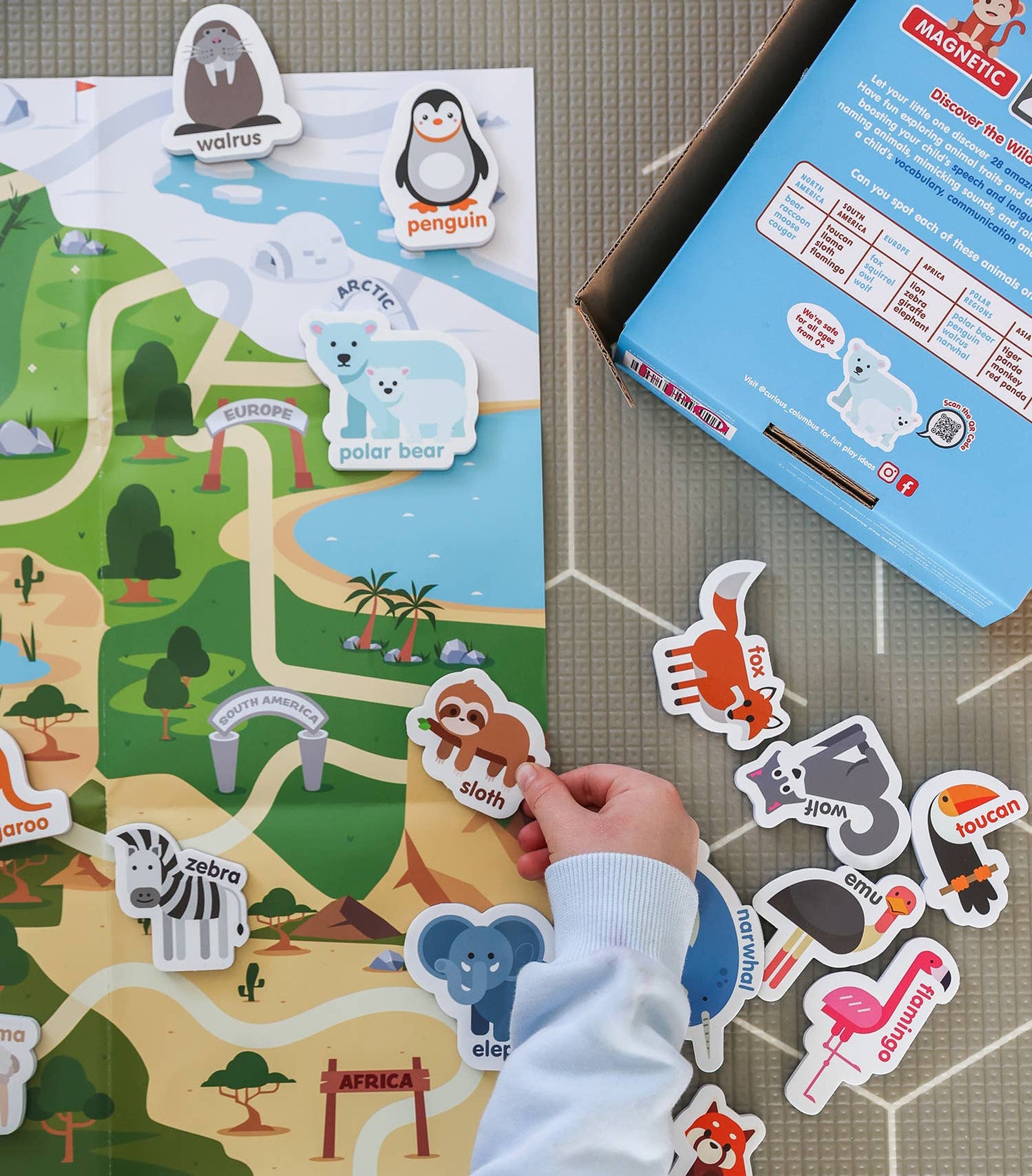 Curious Columbus - Magnetic Zoo Animals