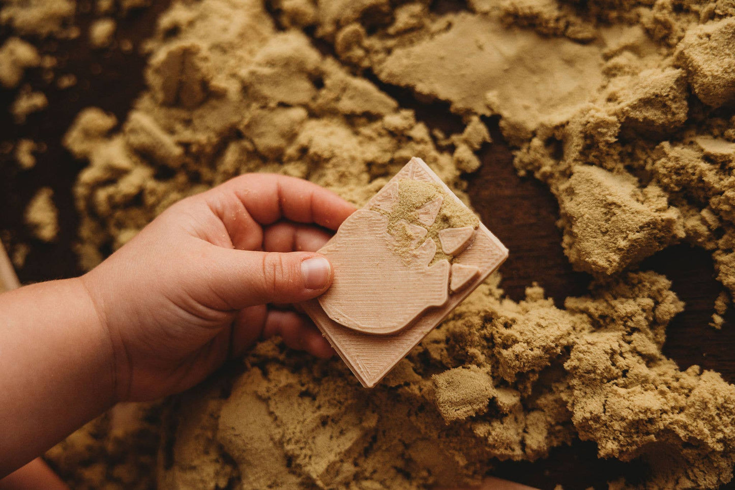 Kinfolk Pantry Eco Stamp - Dinosaur Foot Print Stamp Set