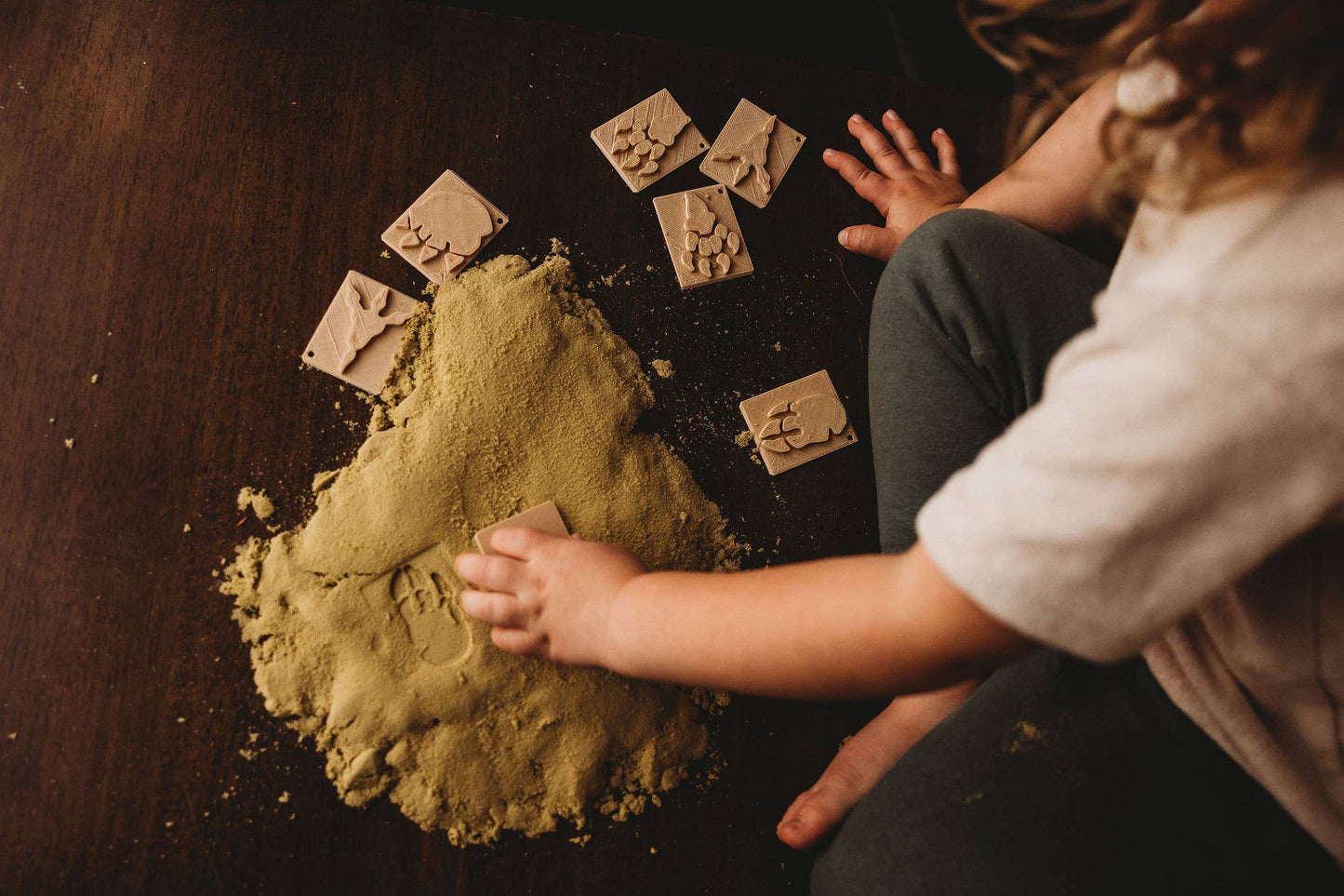 Kinfolk Pantry Eco Stamp - Dinosaur Foot Print Stamp Set