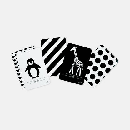 High Contrast Flash Cards - Two Little Ducklings
