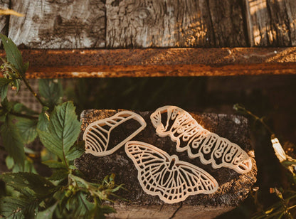 Kinfolk Pantry Eco Cutters - Butterfly Life Cycle Cutter Set