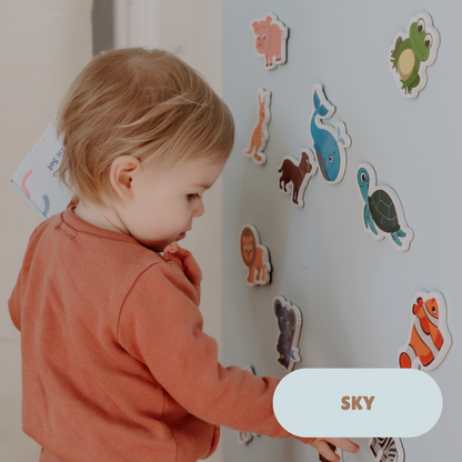 MagPlay Magnetic Wall Decal 2.0 WallKind™