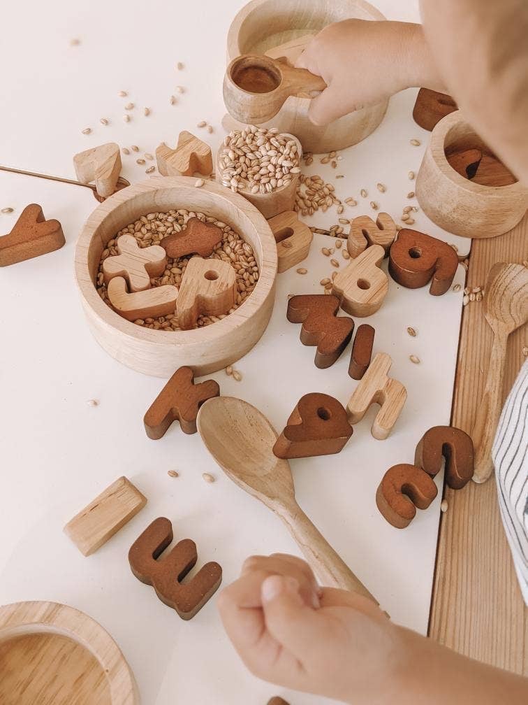 QToys - 2 Tone Lower Case Letters Set of 26