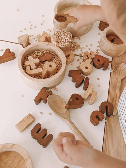 QToys - 2 Tone Lower Case Letters Set of 26