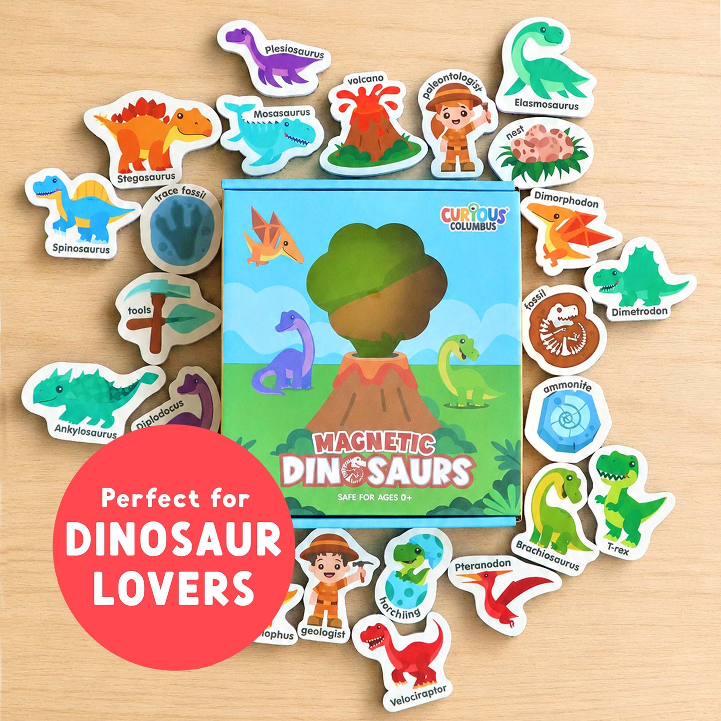 Curious Columbus - Magnetic Dinosaurs