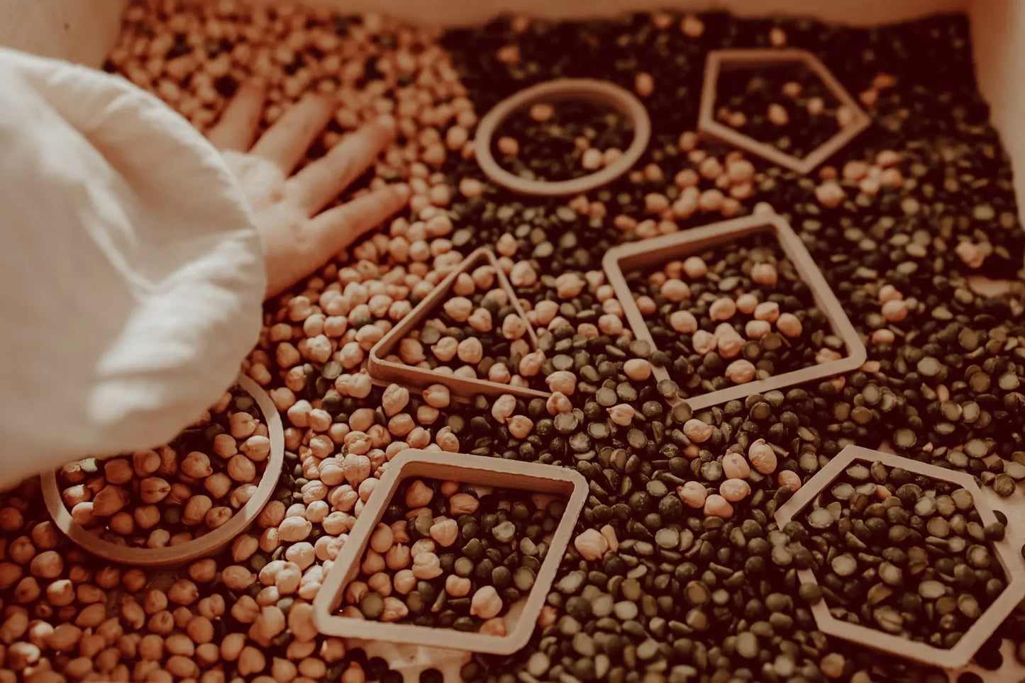 Kinfolk Pantry Eco Cutters - Shapes Cutter Set
