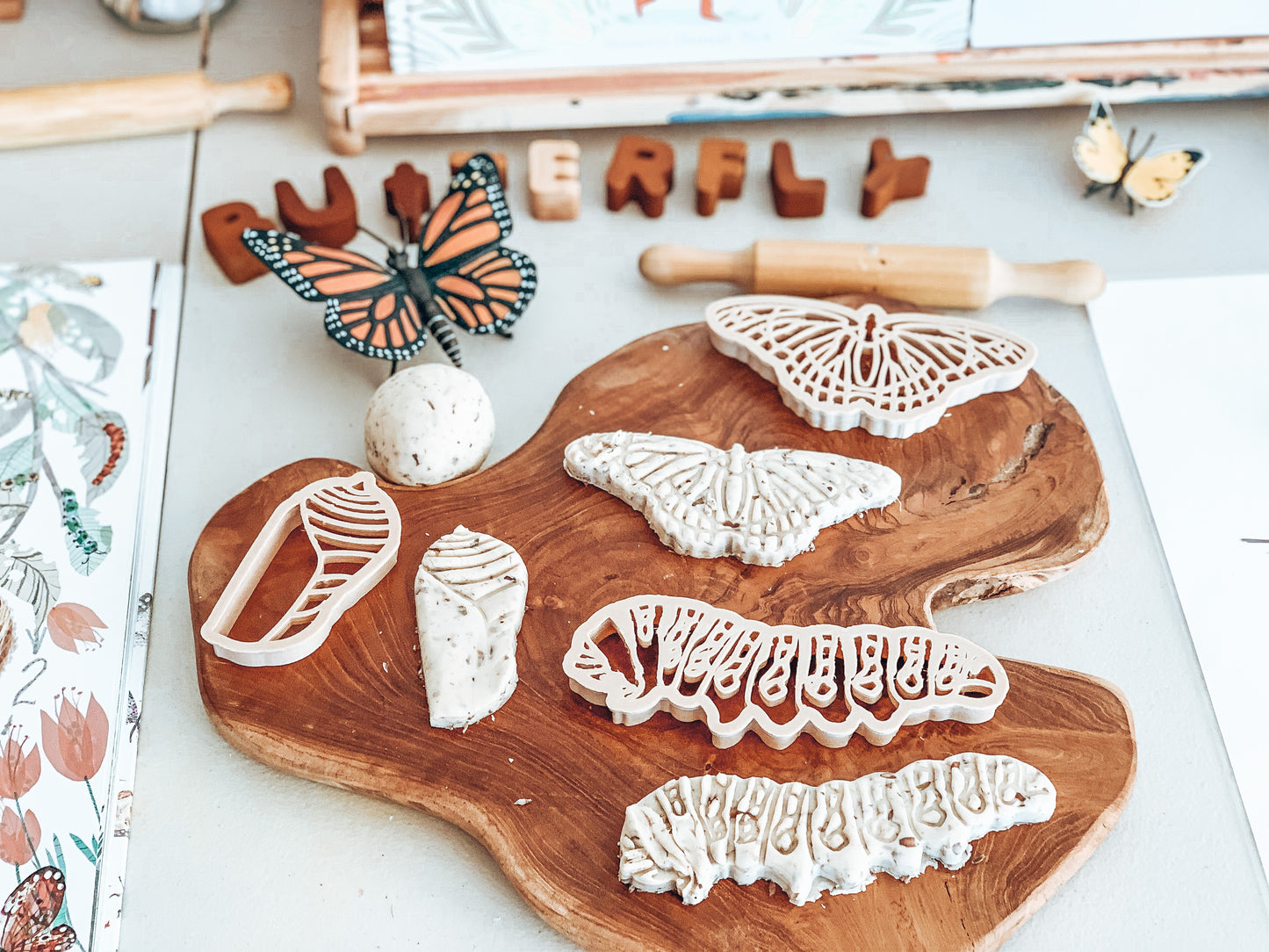 Kinfolk Pantry Eco Cutters - Butterfly Life Cycle Cutter Set