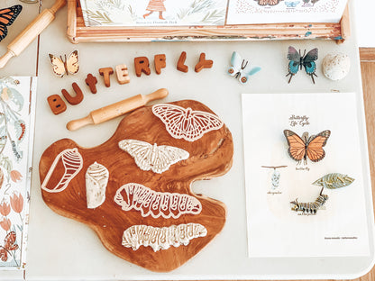 Kinfolk Pantry Eco Cutters - Butterfly Life Cycle Cutter Set