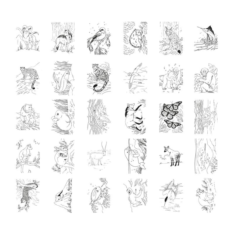 KIDYWOLF - KidyDraw PAD
