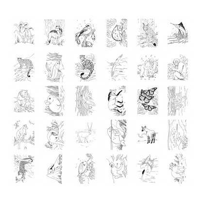 KIDYWOLF - KidyDraw PAD