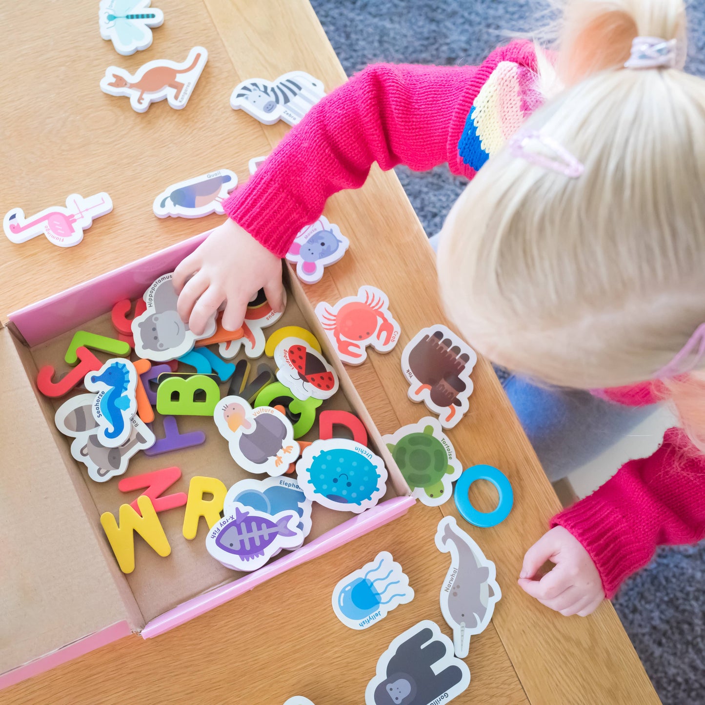 Curious Columbus - Magnetic Animals & Letters