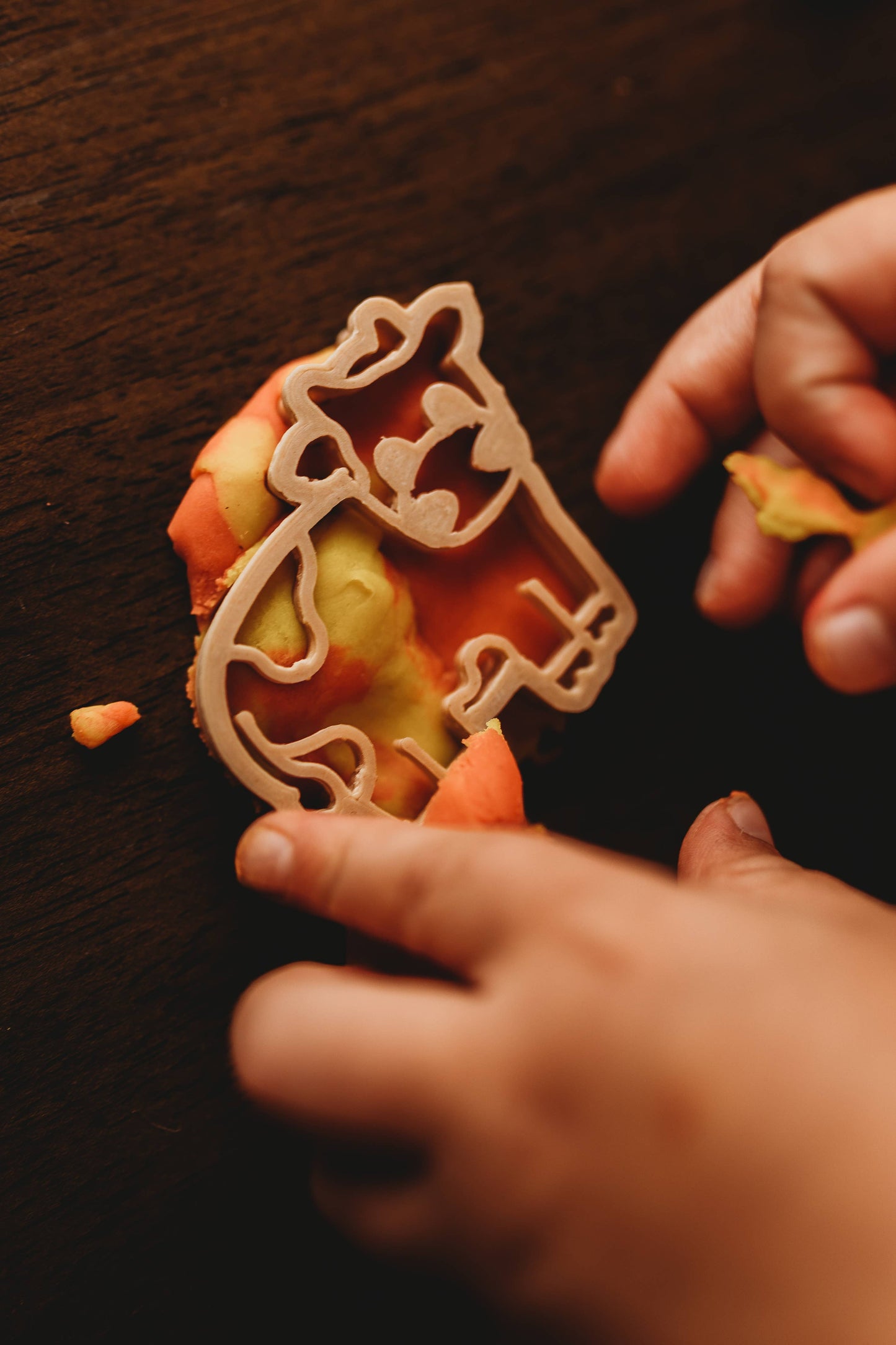 Kinfolk Pantry Eco Cutters - Farm Cutter Set