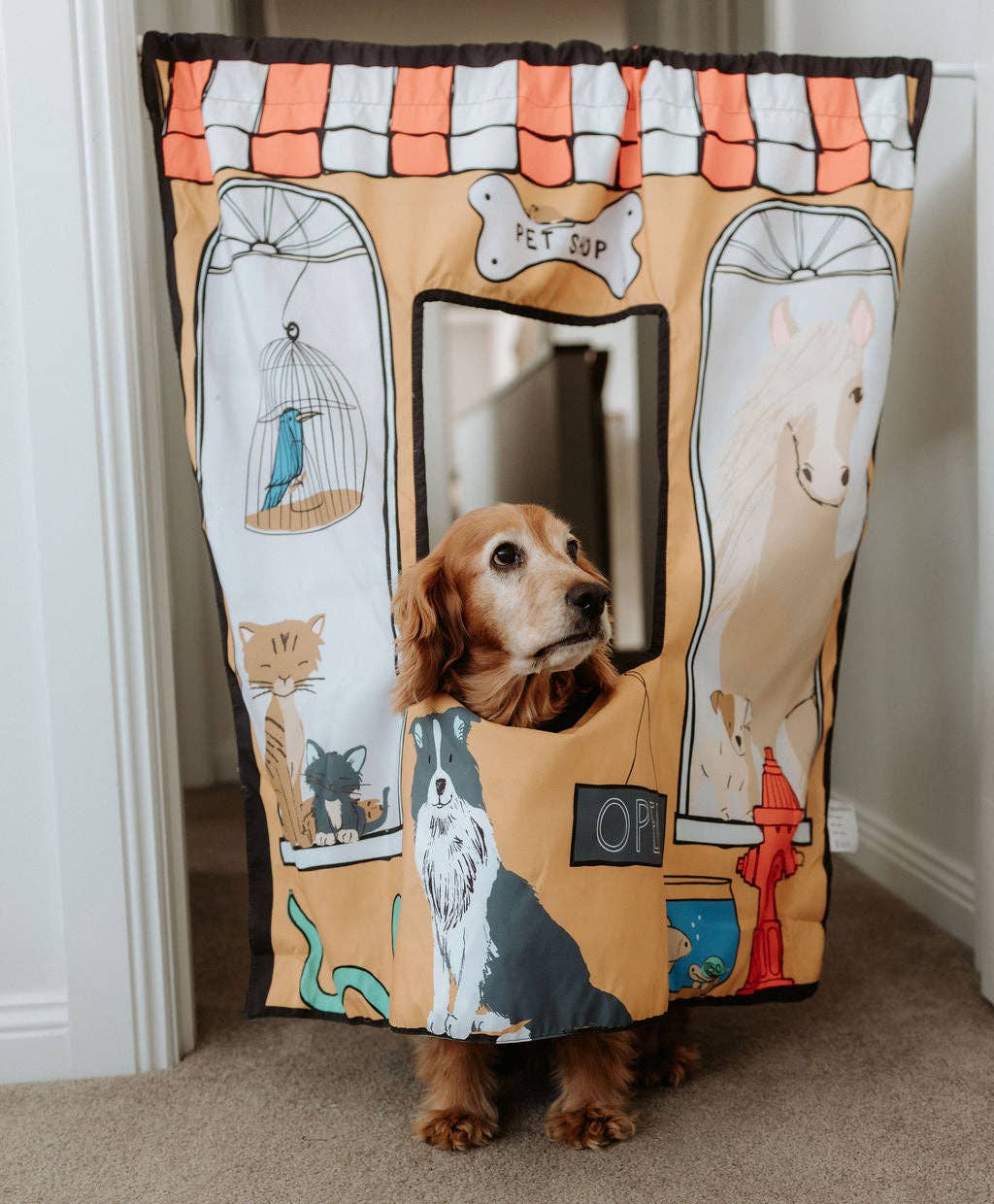 The Cozy Cube - Pet Shop/ Vet Play Panel