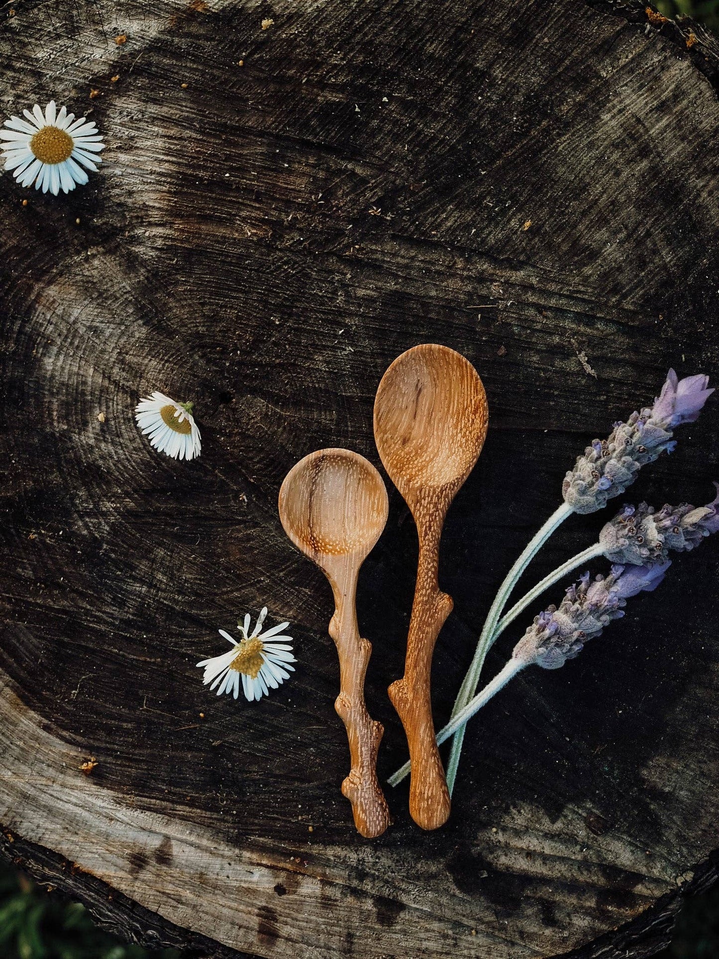 Twiggy (Mini Twig Spoon) - Wild Mountain Child