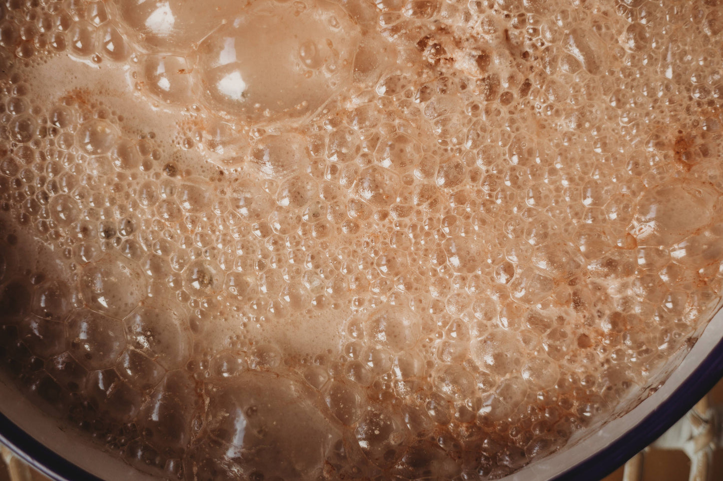 The Saltwater Collective - Rockpool Brown Saltwater Fizz 250g